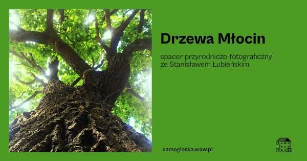 Drzewa Młocin – spacer przyrodniczo-fotograficzny ze Stanisławem Łubieńskim