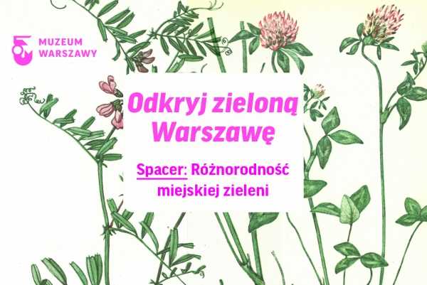 Różnorodność miejskiej zieleni | Odkryj zieloną Warszawę – spacer dla początkujących
