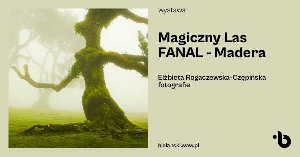 Magiczny Las FANAL – Madera | Wystawa fotografii Elżbiety Rogaczewskiej-Czępińskiej [25 sierpnia - 25 września]