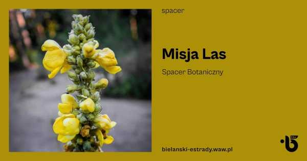 Misja Las. Spacer Botaniczny