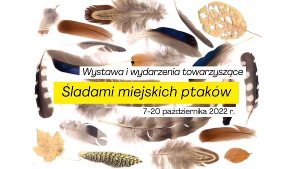 Spacer ornitologiczny | Przyroda Skarpy Warszawskiej