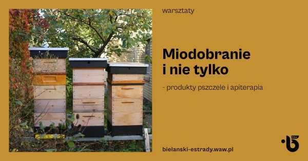 Miodobranie i nie tylko - produkty pszczele i apiterapia