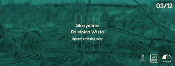 Skrzydlata Dzielnica Wisła - spacer ornitologiczny