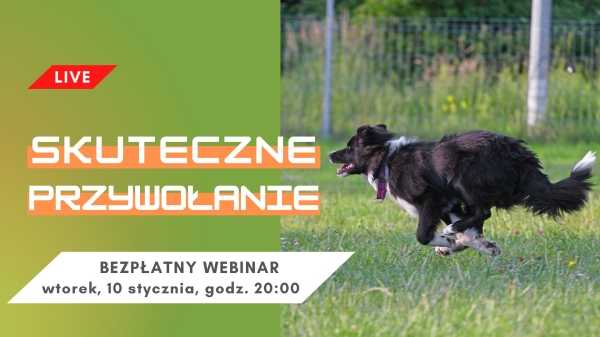 Skuteczne przywołanie - bezpłatny webinar