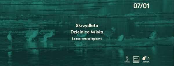Skrzydlata Dzielnica Wisła | spacer ornitologiczny