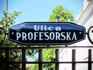 Artyści i Profesorowie czyli wokół Kolonii Profesorskiej