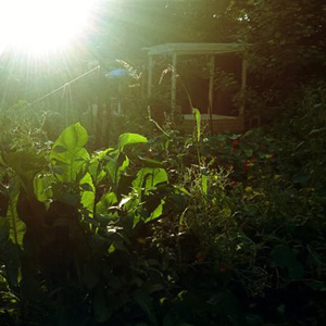 Ogród opowieści – poranek ogrodniczych opowieści