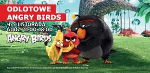 Angry Birds w Wola Parku
