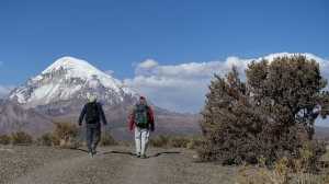 Sajama (Boliwia) – góra dla miłośników pięknych krajobrazów