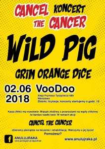 Charytatywny koncert Wild Pig