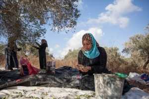 Making a living in Palestine
