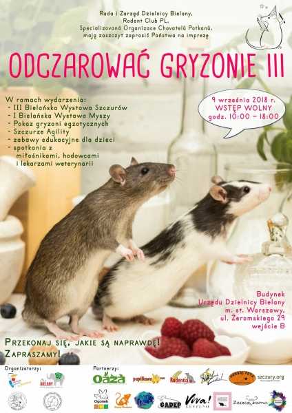 Odczarować gryzonie III / Disenchant Rodents III