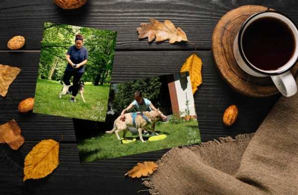 II Psie Spotkanie: Aktywna jesień z psem