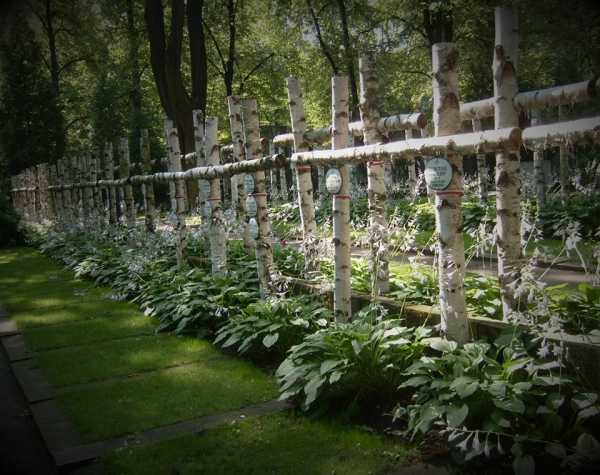 Śladami Powstania - spacer po Cmentarzu Wojskowym