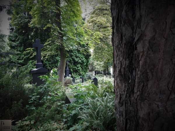 Spacer po Cmentarzu Ewangelicko - Augsburskim