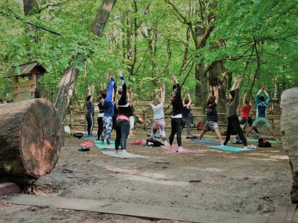Joga w Lesie Bielańskim vol.2 ela/with/the/flow // Outdoor yoga classes 