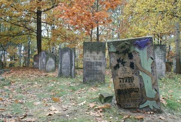 Spacer po cmentarzu żydowskim na Targówku