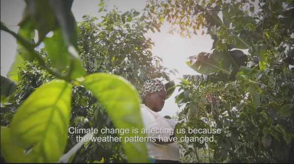 Producentki Fair Trade wobec zmian klimatu - pokaz filmowy w ramach Tygodnia Edukacji Globalnej 2019