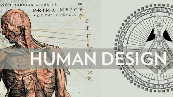 CZYM JEST HUMAN DESIGN? PRELEKCJA TOMASZA TRUSZKOWSKIEGO