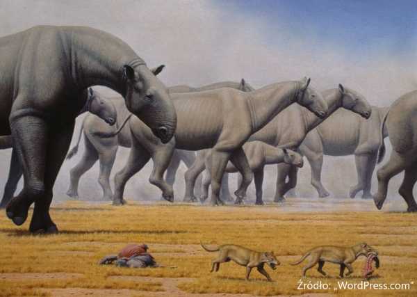 Największe wymarłe zwierzęta - wykład paleontologiczny