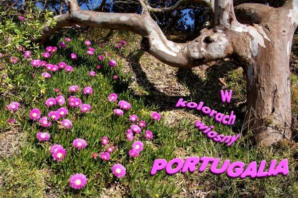 Portugalia w kolorach wiosny