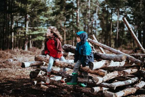 Chodźcie do lasu! Wyprawa terenowa dla dzieci od 9 roku życia