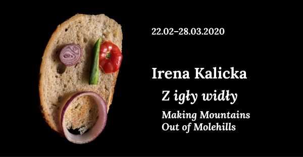 Irena Kalicka "Z igły widły" | Fundacja Profile