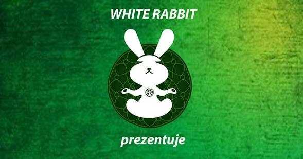 Warsztaty "follow the White Rabbit"