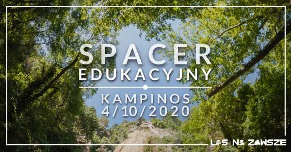 Spacer edukacyjny w Kampinosie
