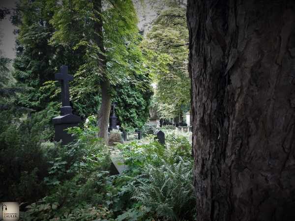 Spacer po Ćmentarzu Ewangelicko - Augsburskim