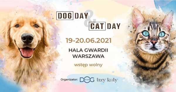 DOG DAY& CAT DAY