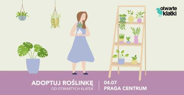 Adoptuj Roślinkę od Otwartych Klatek / Praga Centrum