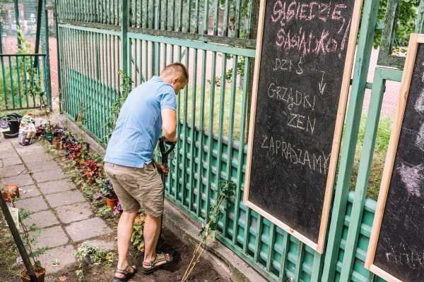 Sąsiedzkie grządki w SZKOLE