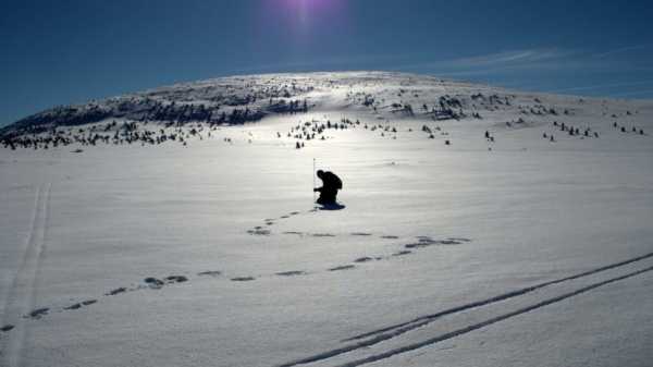 Webinarium: Śnieg w ekosystemie Arktyki