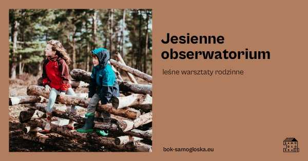 Jesienne obserwatorium – leśne warsztaty rodzinne