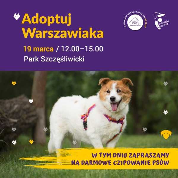 Adoptuj Warszawiaka i darmowe czipowanie psów w Parku Szczęśliwickim