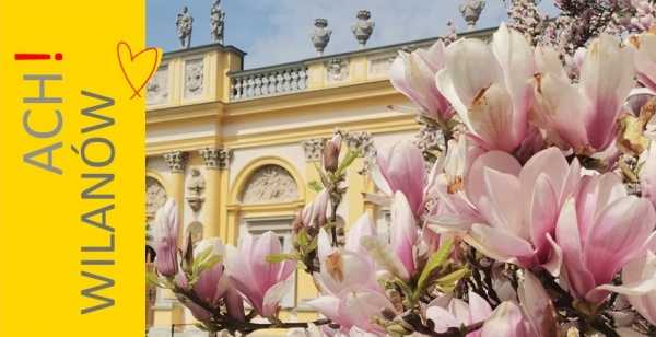 Wilanów (nie tylko króla Jana). Spacer z przewodnikiem