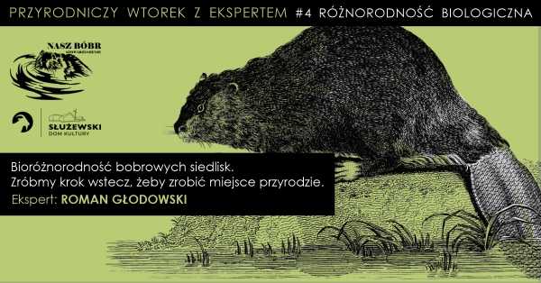 Przyrodniczy wtorek z ekspertem / #4 RÓŻNORODNOŚĆ BIOLOGICZNA: Bioróżnorodność bobrowych siedlisk