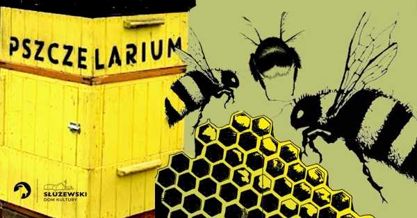Pszczoły miodne i niemiodne - co zagraża pszczołom?