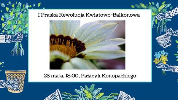I Praska Balkonowa Rewolucja Kwiatowa | warsztaty