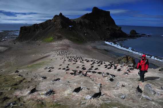 Monitorowanie i zarządzanie ekosystemem Antarktyki - innowacje