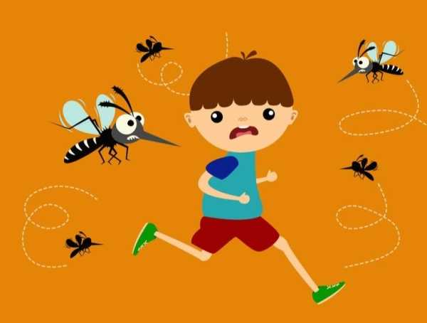 Na komary! - wycieczka po Kampinoski Parku Narodowym