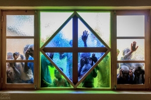 Rwanda - tysiąc odcieni zieleni - spotkanie podróżnicze