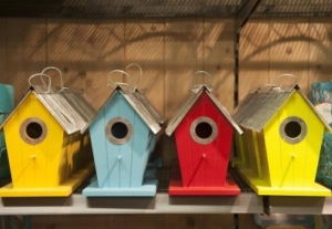 Karmnik dla ptaków - warsztaty dla dzieci