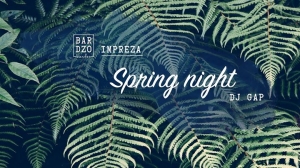 Spring Night - DJ GAP