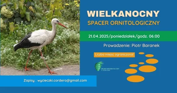 WIELKANOCNY SPACER ORNITOLOGICZNY
