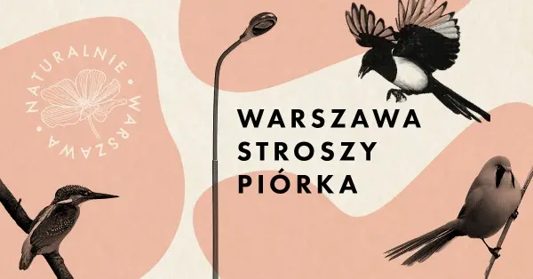 Spacerem do pracy przez Dolinkę Służewską