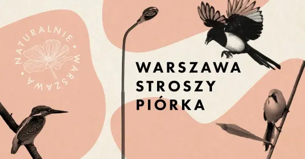 Wzdłuż Wisły – czyli szlakiem ptasich migracji