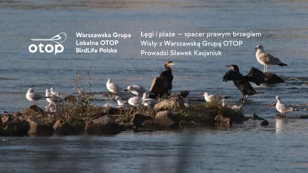 Łęgi i plaże - spacer prawym brzegiem Wisły z Warszawską Grupą OTOP