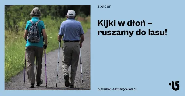 Kijki w dłoń – ruszamy do lasu!
